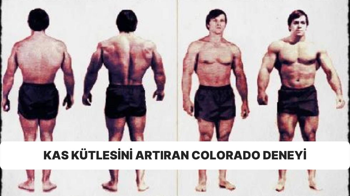 Fitness Topluluğunu İkiye Bölen Colorado Deneyi